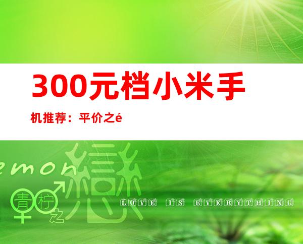 300元档小米手机推荐：平价之选，性价比出众